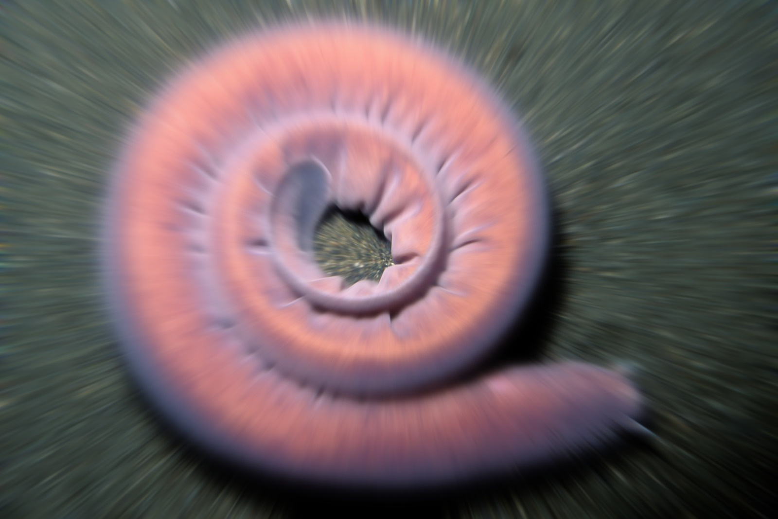 Project Template banner